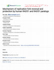 Research paper thumbnail of Mechanism of Replication Fork Reversal and Protection by Human RAD51 and RAD51 Paralogs