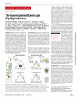 Research paper thumbnail of The transcriptional landscape of polyploid wheat