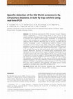 Research paper thumbnail of Specific detection of the Old World screwworm fly, Chrysomya bezziana, in bulk fly trap catches using real-time PCR