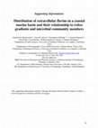 Research paper thumbnail of Distribution of Extracellular Flavins in a Coastal Marine Basin and Their Relationship to Redox Gradients and Microbial Community Members