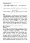 Research paper thumbnail of I Bilanci degli ETS e la determinazione di costi e ricavi figurativi