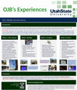 Research paper thumbnail of OJB\u27s Experiences