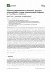 Research paper thumbnail of Exploring Opportunities for Promoting Synergies between Climate Change Adaptation and Mitigation in Forest Carbon Initiatives