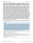 Research paper thumbnail of Genome of Herbaspirillum seropedicae strain SmR1, a specialized diazotrophic endophyte of tropical grasses