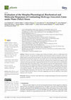 Research paper thumbnail of Evaluation of the Morpho-Physiological, Biochemical and Molecular Responses of Contrasting Medicago truncatula Lines under Water Deficit Stress