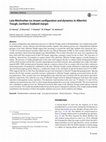 Research paper thumbnail of Late Weichselian ice stream configuration and dynamics in Albertini Trough, northern Svalbard margin