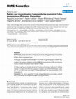 Research paper thumbnail of Pairing and recombination features during meiosis in Cebus paraguayanus (Primates: Platyrrhini)