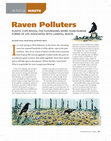 Research paper thumbnail of Raven Polluters