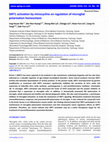 Research paper thumbnail of SIRT1 activation by minocycline on regulation of microglial polarization homeostasis