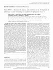 Research paper thumbnail of MicroRNA-1 Is Decreased by Hypoxia and Contributes to the Development of Pulmonary Vascular Remodeling via Regulation of Sphingosine Kinase 1