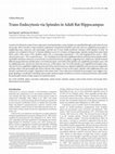 Research paper thumbnail of Cellular/Molecular Trans-Endocytosis via Spinules in Adult Rat Hippocampus