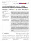 Research paper thumbnail of Forelimb myology of armadillos (Xenarthra: Cingulata, Chlamyphoridae): Anatomical correlates with fossorial ability