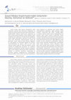 Research paper thumbnail of Sosyal Medya Araştırmalarındaki Gelişmeler: Geçmiş, Günümüz ve Gelecek