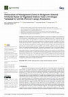 Research paper thumbnail of Delineation of Management Zones in Hedgerow Almond Orchards Based on Vegetation Indices from UAV Images Validated by LiDAR-Derived Canopy Parameters