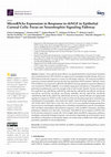 Research paper thumbnail of MicroRNAs Expression in Response to rhNGF in Epithelial Corneal Cells: Focus on Neurotrophin Signaling Pathway