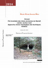 Research paper thumbnail of Abstract; Pre-inventory of ancient mines of Lorraine Warndt Area A Chrono-typological Approach of mining technologies in North Eastern France