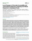 Research paper thumbnail of Local Changes in Chromatin Accessibility and Transcriptional Networks Underlying the Nitrate Response in Arabidopsis Roots