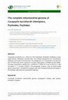 Research paper thumbnail of The complete mitochondrial genome of Cacopsylla burckhardti (Hemiptera, Psylloidea, Psyllidae)