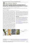 Research paper thumbnail of First report of potato blackleg caused by biovar 3 Dickeya sp. ( Pectobacterium chrysanthemi ) in Greece