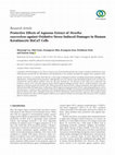 Research paper thumbnail of Protective Effects of Aqueous Extract of Mentha suaveolens against Oxidative Stress-Induced Damages in Human Keratinocyte HaCaT Cells