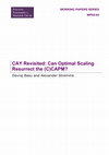 Research paper thumbnail of CAY revisited: can optimal scaling resurrect the (C) CAPM?