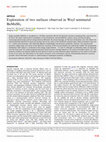 Research paper thumbnail of Exploration of two surfaces observed in Weyl semimetal BaMnSb2