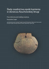 Research paper thumbnail of ŚLADY OSADNICTWA EPOKI KAMIENIA W DORZECZU RZUCHOWSKIEJ STRUGI [TRACES OF SETTLEMENT OF THE STONE AGE IN THE BASIN OF THE RZUCHOWSKA STREAM]