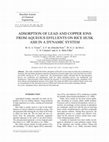 Research paper thumbnail of Adsorption of lead and copper ions from aqueous effluents on rice husk ash in a dynamic system