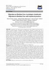 Research paper thumbnail of Migration au Burkina Faso et pratiques translocales