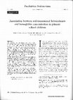 Research paper thumbnail of Association between soil-transmitted helminthiasis and hemoglobin concentration in primary school children