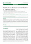 Research paper thumbnail of Contribution to the microscopic identification of Zingiber officinale