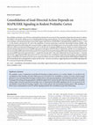 Research paper thumbnail of Consolidation of Goal-Directed Action Depends on MAPK/ERK Signaling in Rodent Prelimbic Cortex