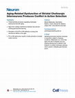 Research paper thumbnail of Aging-Related Dysfunction of Striatal Cholinergic Interneurons Produces Conflict in Action Selection