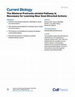 Research paper thumbnail of The Bilateral Prefronto-striatal Pathway Is Necessary for Learning New Goal-Directed Actions