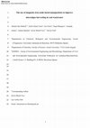 Research paper thumbnail of The use of magnetic iron oxide based nanoparticles to improve microalgae harvesting in real wastewater