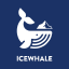 @IceWhaleTech