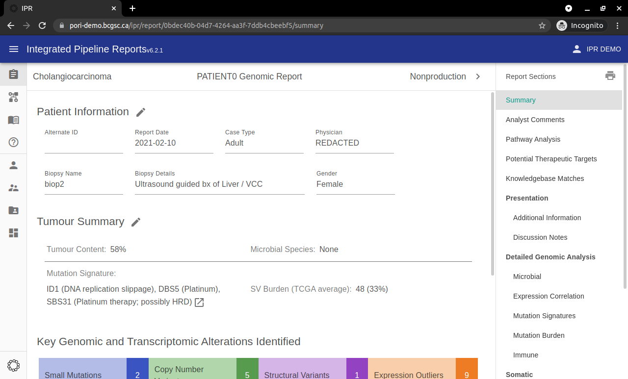 report summary