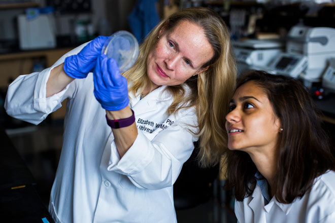 Two people examining a sample