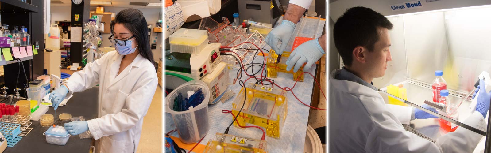 People working in a lab