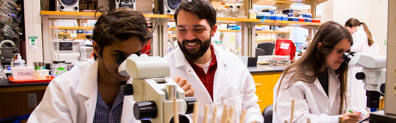 Principal Investigator working with graduate student trainees in laboratory