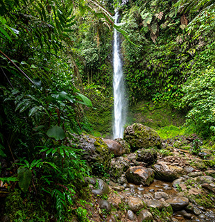 Waterfall in a rainforest.