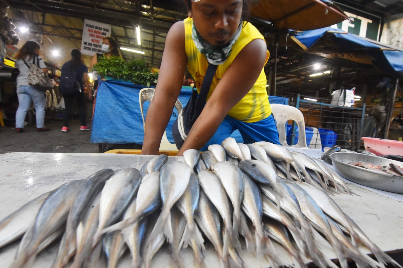 Shrunken output entangles drive for 100% fish self-sufficiency