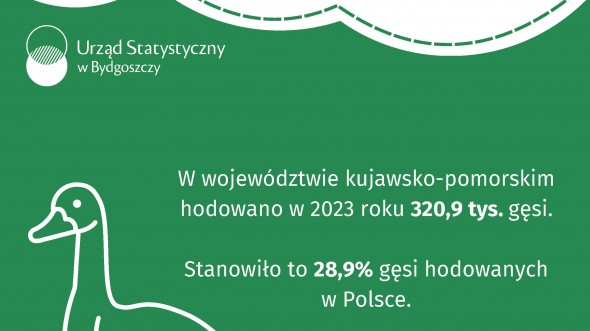 Dzień Polskiej Żywności (Infografika)