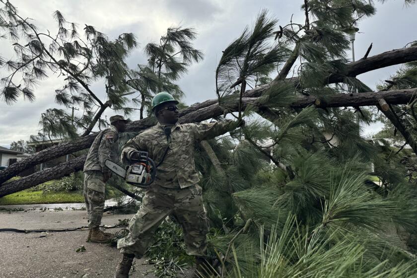 A National Guardsman removes a fallen tree from a road in Morgan City, La. on Thursday, Sept. 12, 2024, after Hurricane Francine passed through. (AP Photo/Jack Brook)