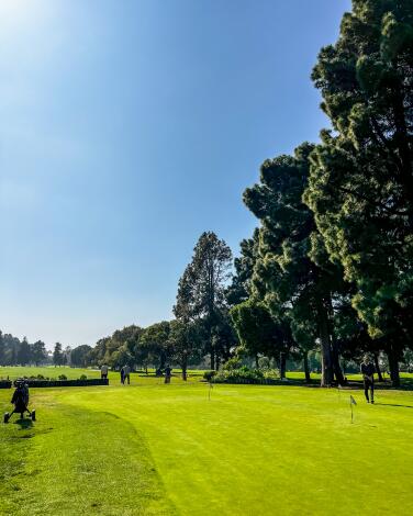 A view of the Penmar public gold course.