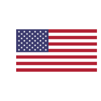 USA Flag Logo