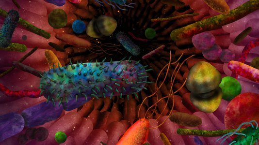 Artist depiction of bacteria in the gut.