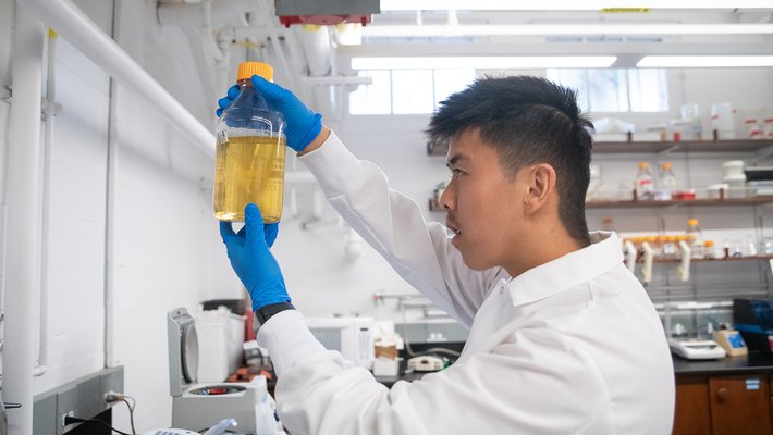 Christoper Lam wears a lab coats and gazes into a glass vial full of golden liquid.