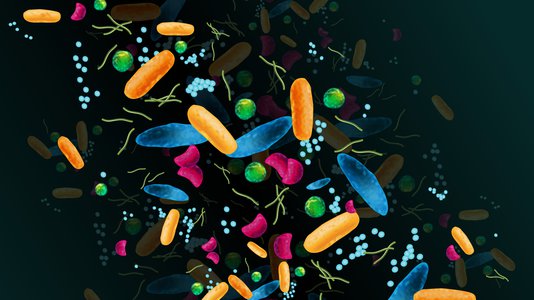 An artist's rendering of gut bacteria.