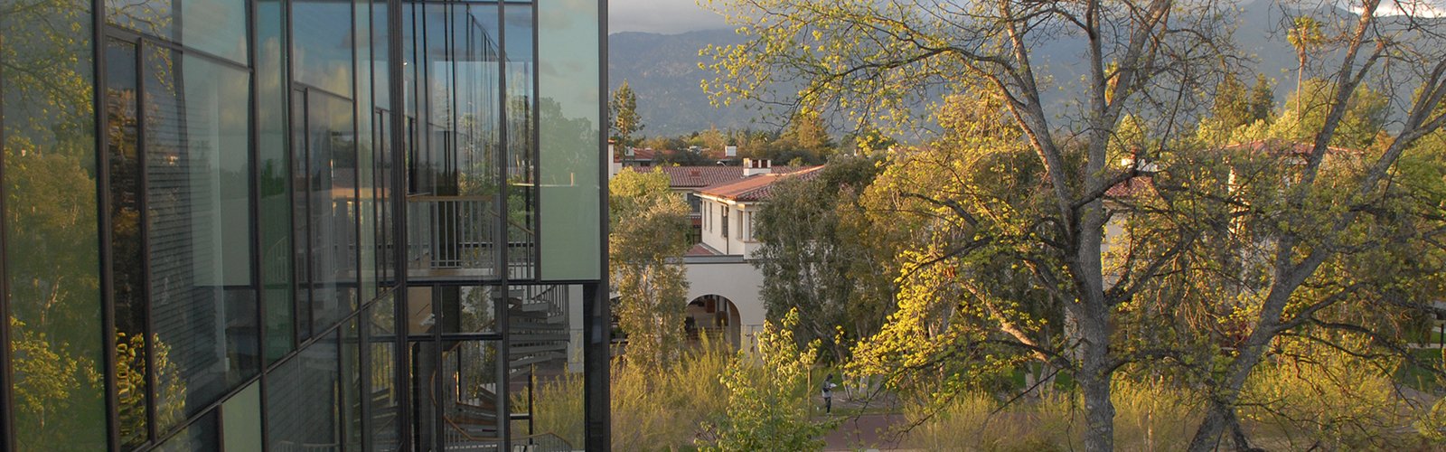 Drought-adapted trees and plants stretch between a glass-walled building in the foreground and a cream-colored building with a tile roof in the background.